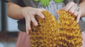 榴蓮剝好肉后，搗成泥狀。