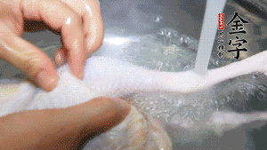 土雞處理干凈。（如果買不到土雞，一般的雞也是可以的，不過(guò)需要汆水。溫水下鍋汆燙7分鐘左右，汆燙時(shí)需要適時(shí)翻動(dòng)。汆燙雞肉是為了去掉生腥味，也是一次徹底清潔的過(guò)程，可以使燉出的湯清爽而不渾濁，鮮香而無(wú)異味）