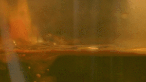 雞肉、鹽、料酒入冷水鍋水開后撇去浮沫，溫水洗凈。