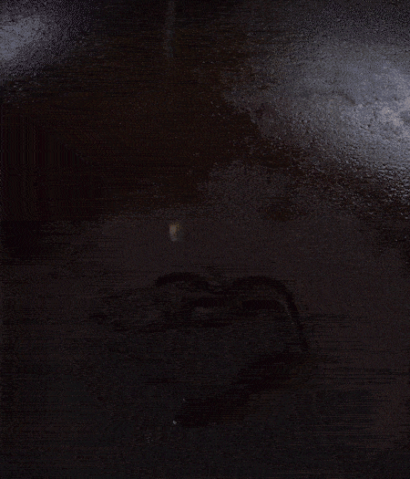 冷鍋熱油，下蒜片爆香，下香腸、玉米筍、蓮藕、西芹爆炒，期間加點水，翻炒1分鐘后加新鮮百合片，翻炒30秒。